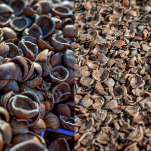 BIUTRITURATORE GUSCI