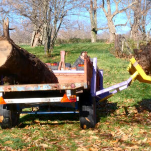 CARICATORE TAGLIA LEGNA